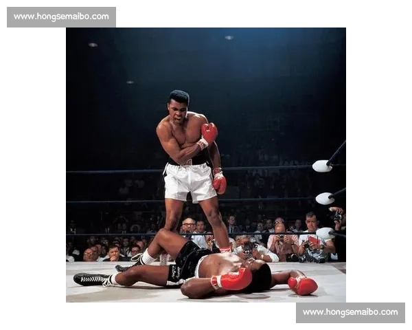 刘易斯与迈考尔的激烈对决背后：两位拳坛传奇的宿命碰撞与历史意义