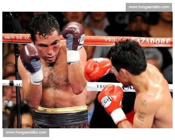 德拉霍亚对阵次优之战：拳坛巅峰对决与拳击历史的交锋