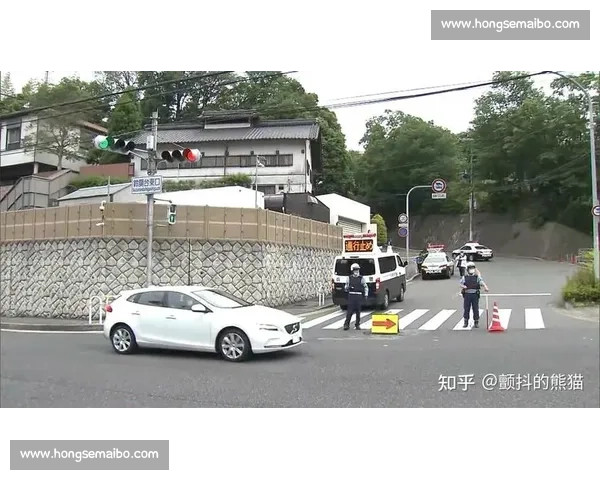 日本VS站：探索日本与世界跨文化交流的独特平台与影响力